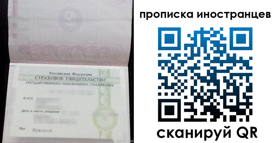 прописка гарантия в Апатитах